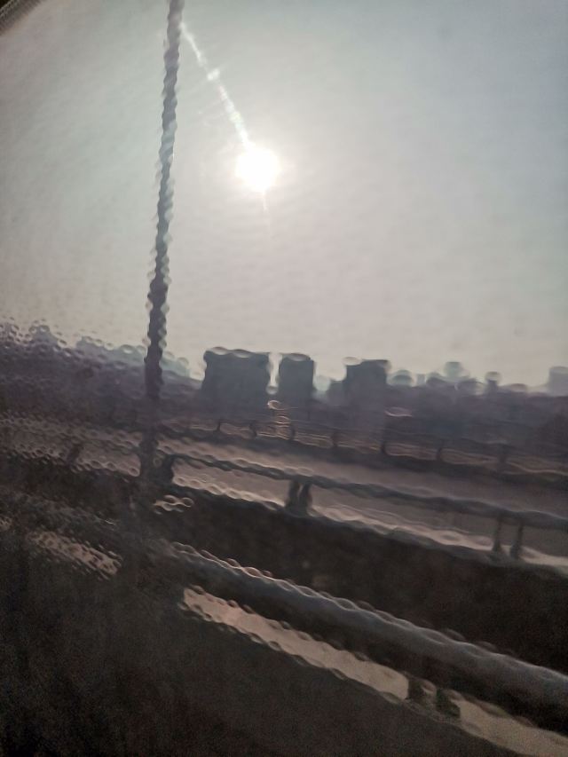 府河郊野公园旅行图片 3