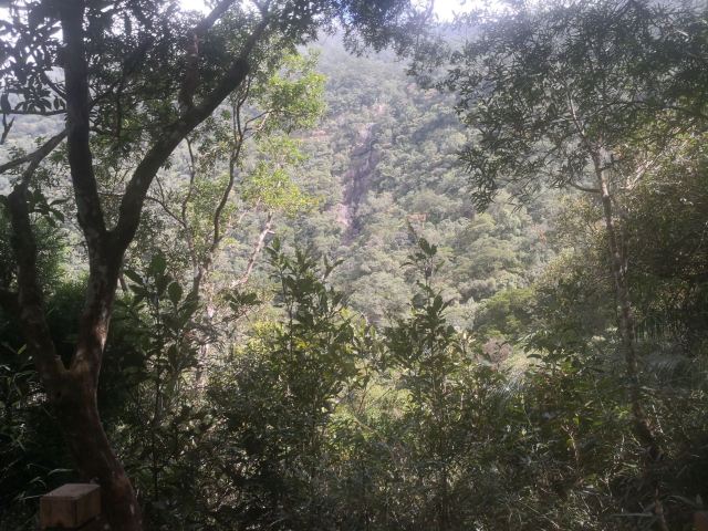 海南热带雨林国家公园五指山景区旅行图片 6