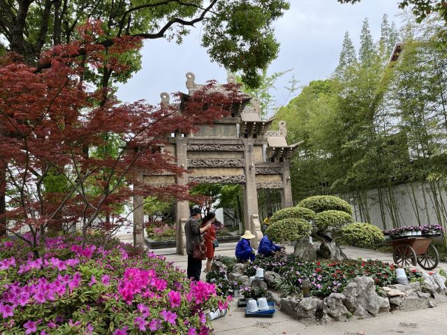 古藤园旅行图片 5