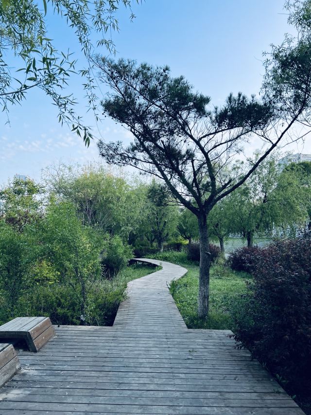 延吉河游园旅行图片 3