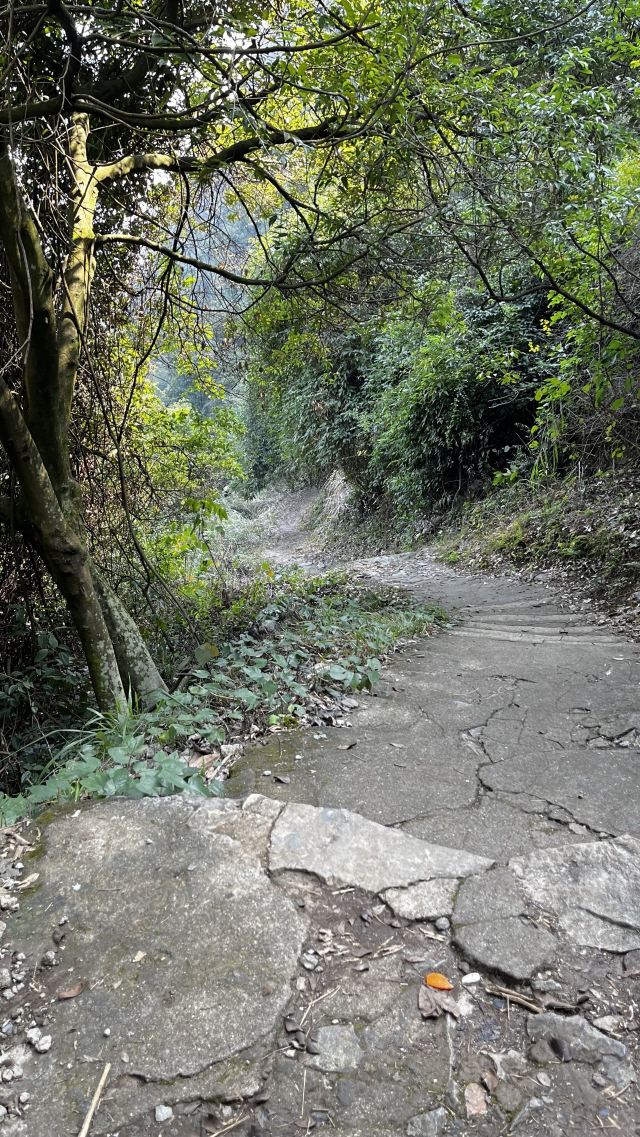 阳朔电视塔旅行图片 1