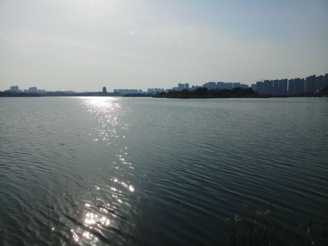 安徽宣城宛陵湖省级湿地公园旅行图片 2
