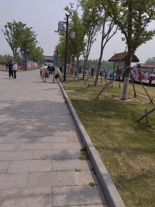 孔望山旅行图片 4