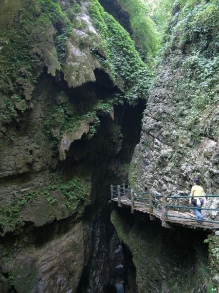 梵净山公园旅行图片 8