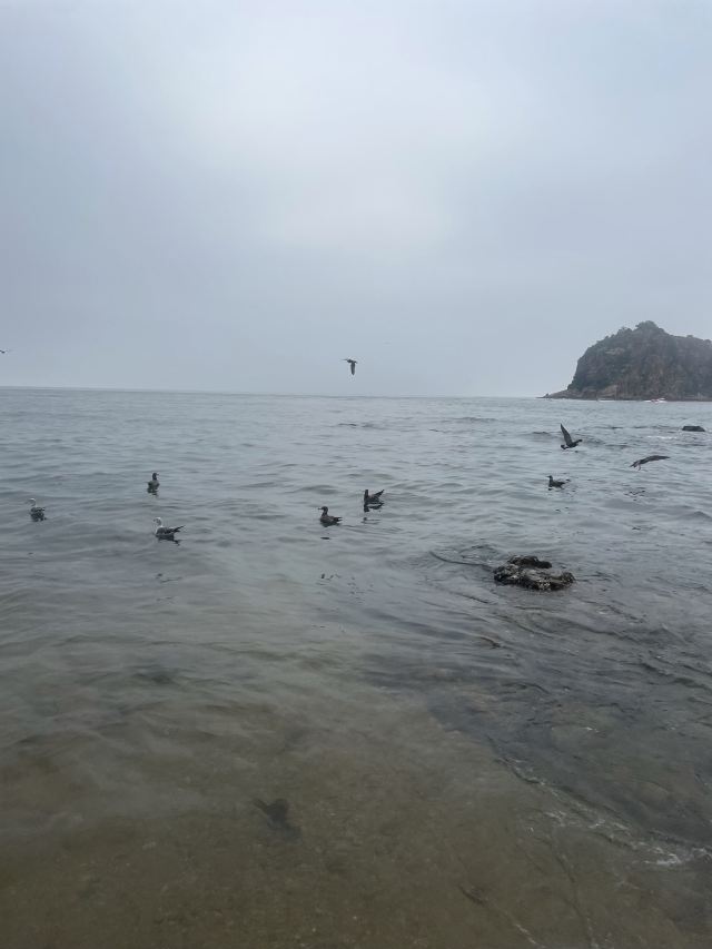 棒棰岛旅行图片 4