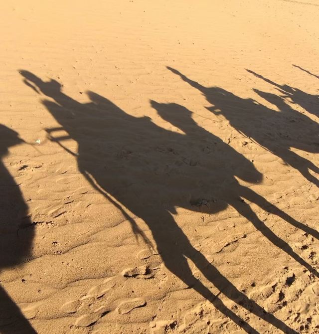 同州沙漠旅游景区旅行图片 1