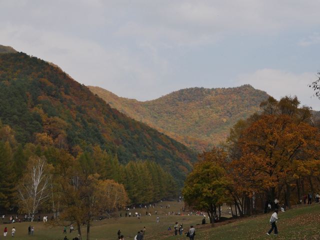 飞泷金山鹿苑旅行图片 3