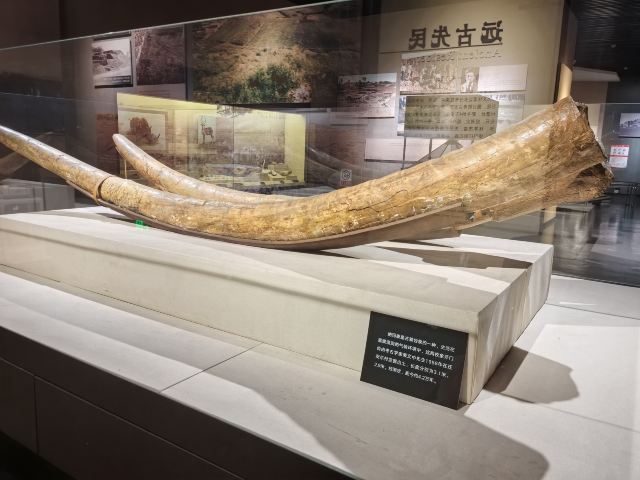 唐山消防主题公园旅行图片 3