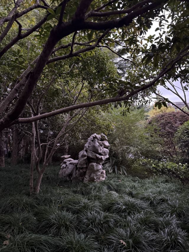 闸北公园旅行图片 1