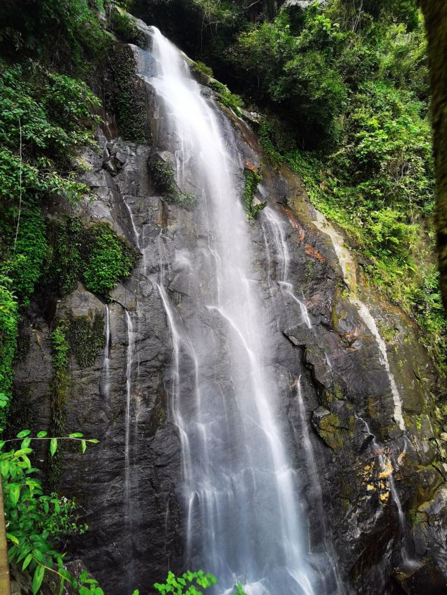 海南百花岭热带雨林文化旅游区-小卖部旅行图片 5