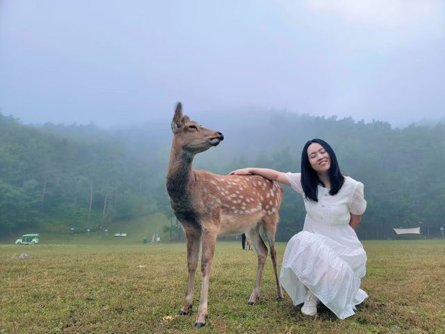 飞泷金山鹿苑旅行图片 1