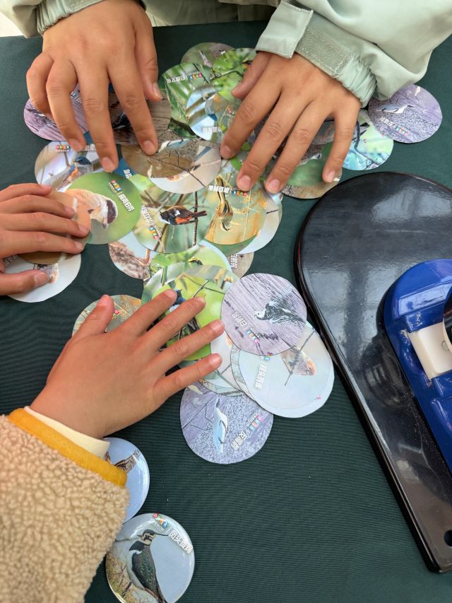 上海东滩湿地公园旅行图片 1