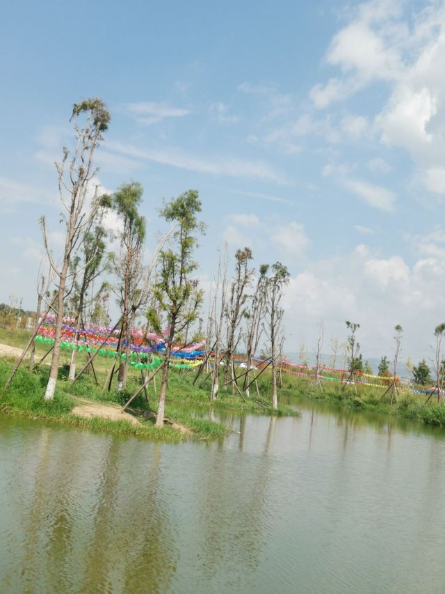 麒麟水乡旅行图片 5