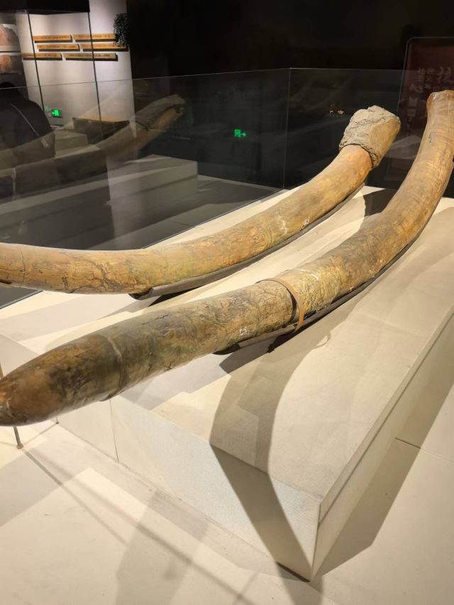 唐山消防主题公园旅行图片 3