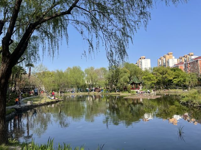 上海长风公园旅行图片 2