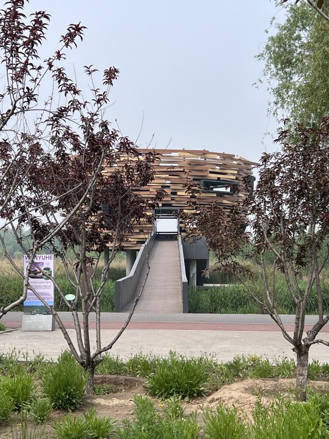 北京温榆河公园·湿地示范-芸上梯田旅行图片 8