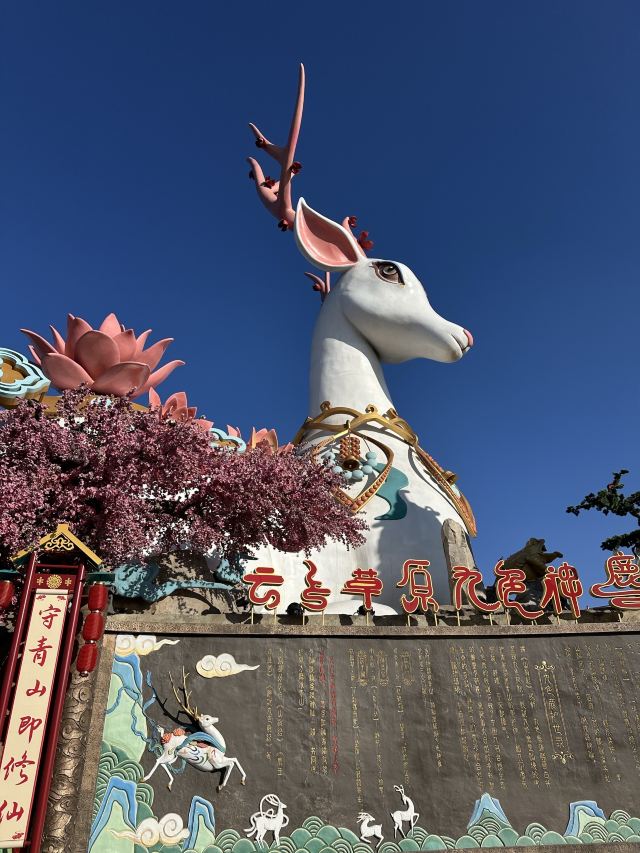 云上草原国际山地旅游度假区旅行图片 2