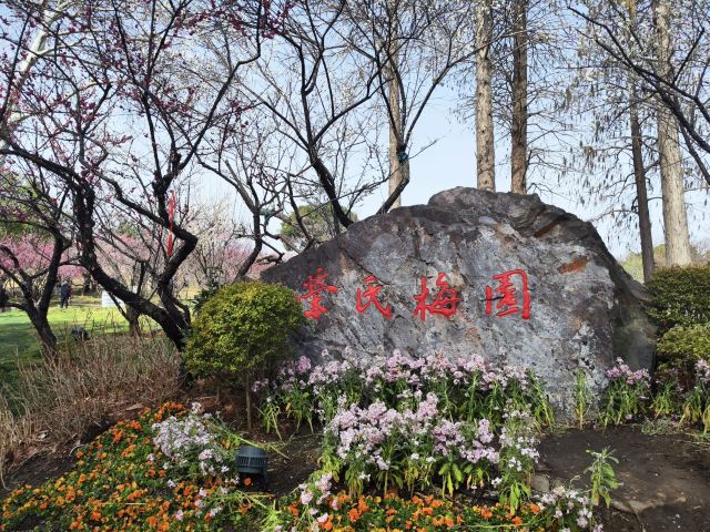 荣氏梅园旅行图片 8