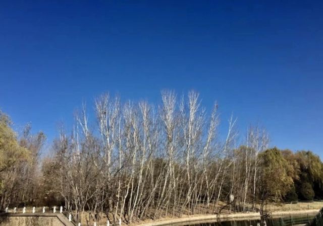 朝阳公园旅行图片 2