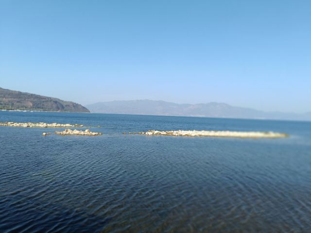 抚仙湖国际度假小镇湖畔森林公园旅行图片 1