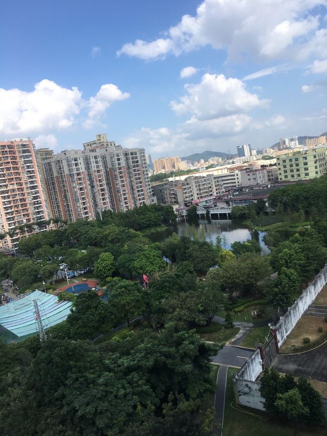 万丰湖湿地公园旅行图片 2