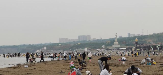 夏家河子海滨景区旅行图片 3