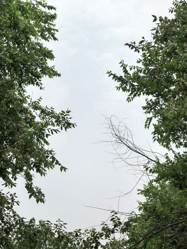 迎春公园旅行图片 3