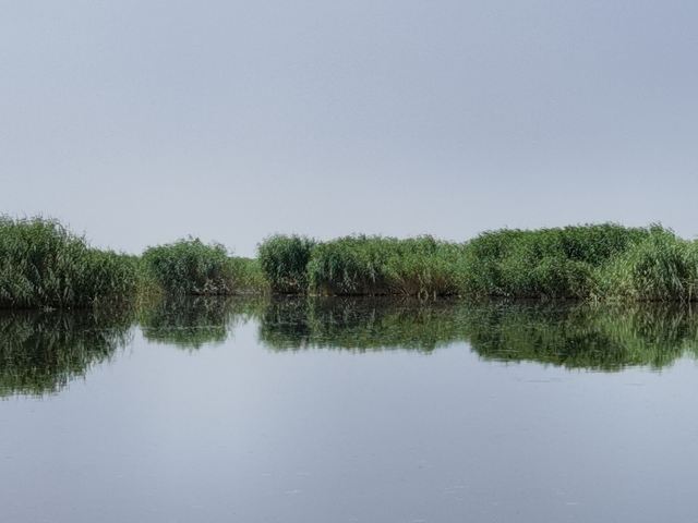 乌梁素海生态旅游景区(暂停开放)旅行图片 2