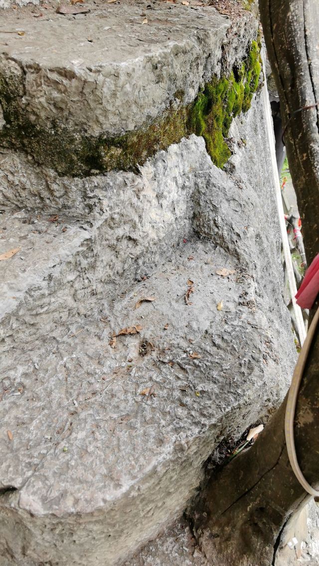 贵阳市仙人洞道观旅行图片 2