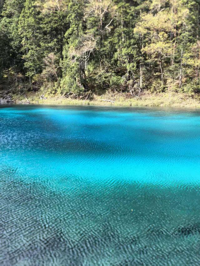 九寨沟景区五彩池观景台旅行图片 6