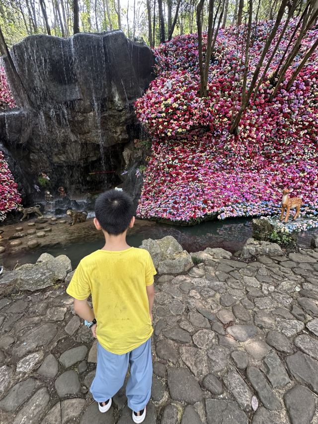 灵栖洞旅行图片 2