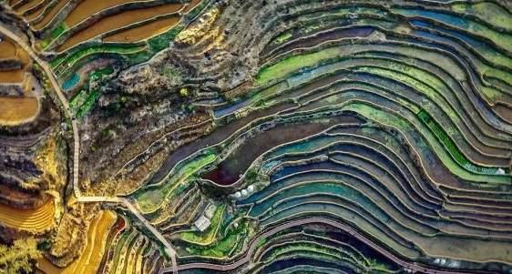 新山梯田旅行图片 2