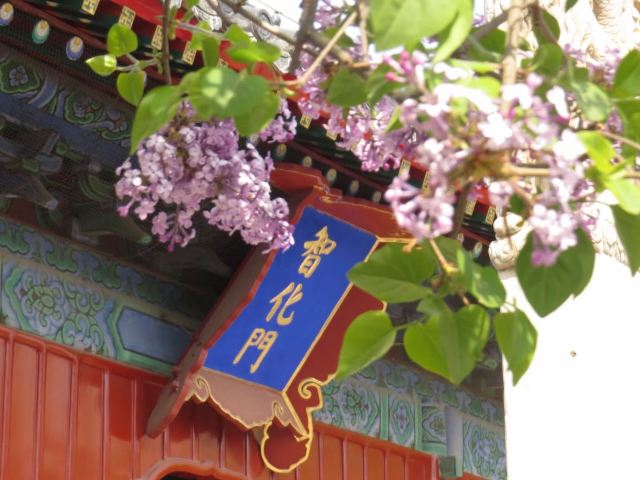 智化寺旅行图片 2
