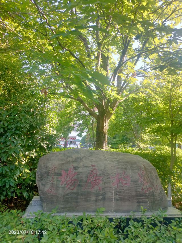 紫柏广场旅行图片 1