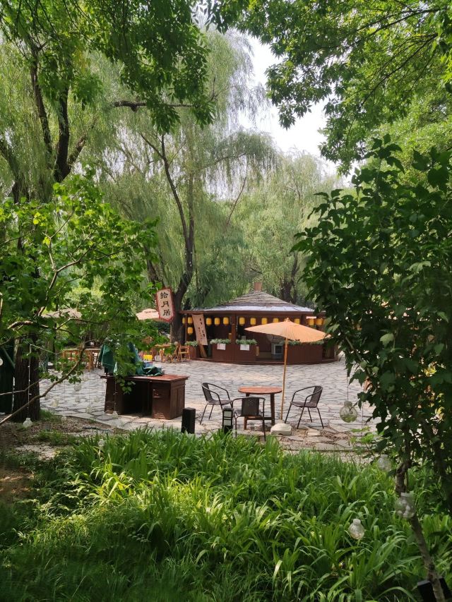 柳荫公园旅行图片 10