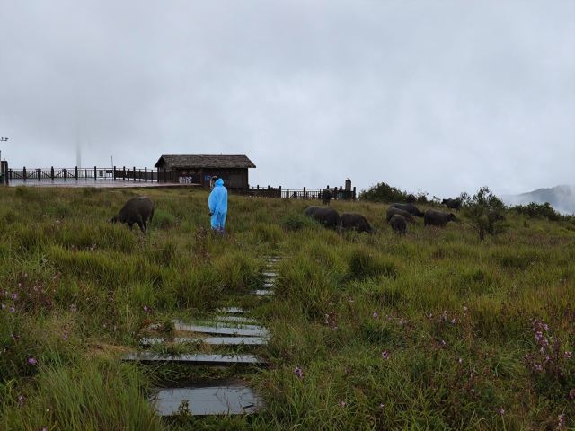 龙里大草原景区旅行图片 2