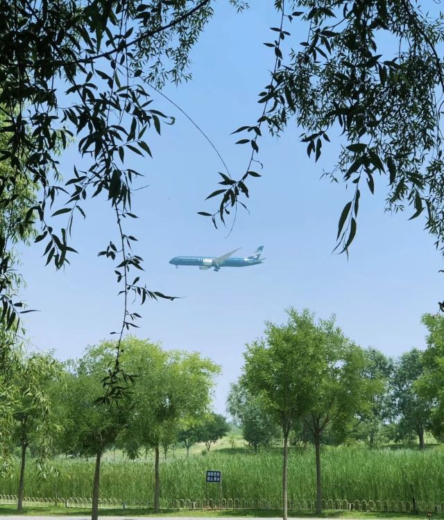 天竺郊野公园旅行图片 2