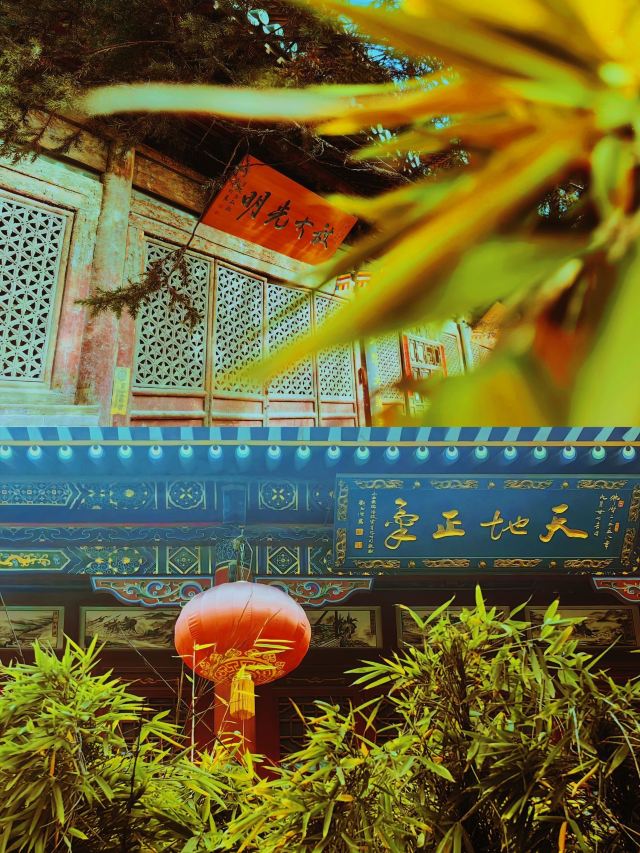 崇善寺旅行图片 6