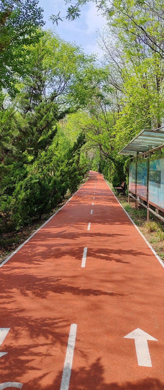 老山城市休闲公园旅行图片 1
