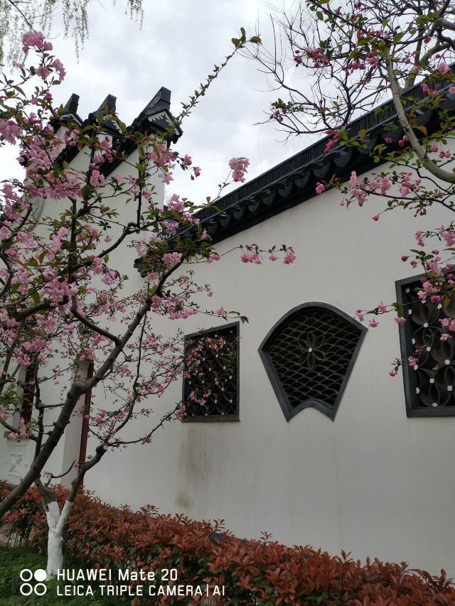 闸北公园旅行图片 13