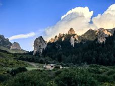 则岔石林-碌曲-Zheng-Nan