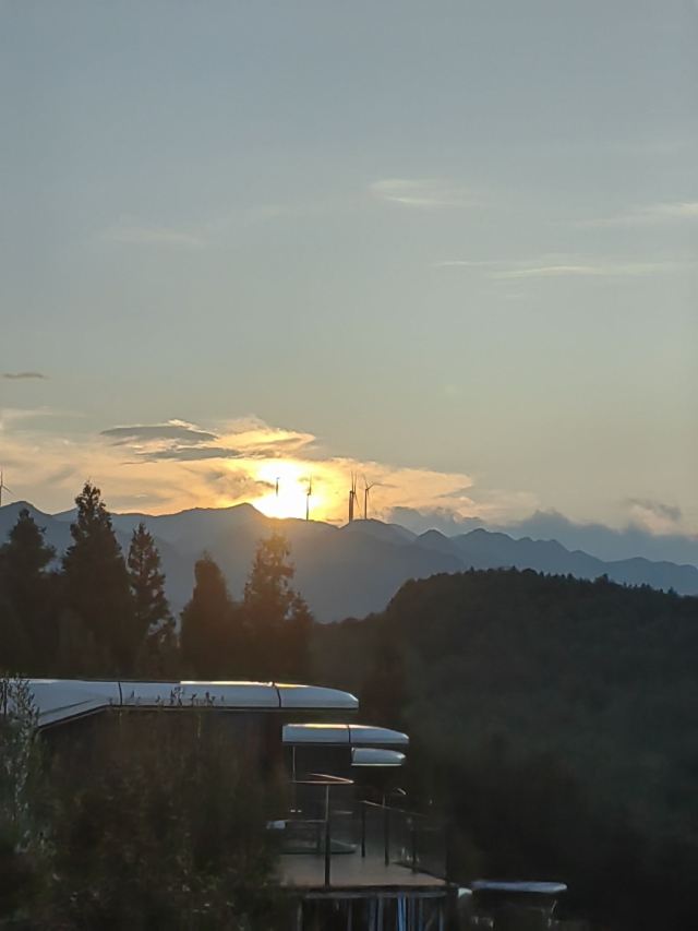 水城国家杜鹃公园旅行图片 3