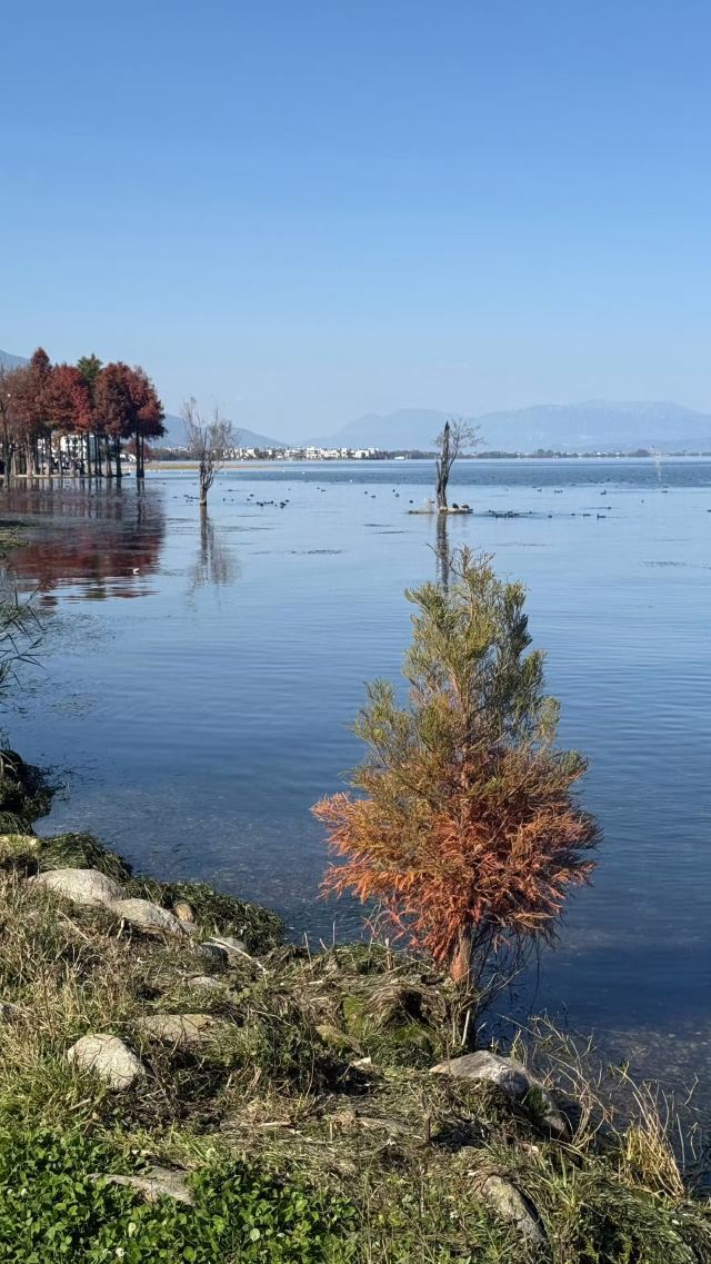 蟠溪村S湾旅行图片 1