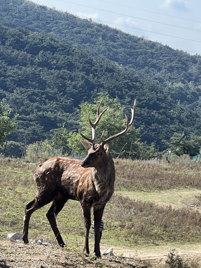 白云山山体公园旅行图片 3
