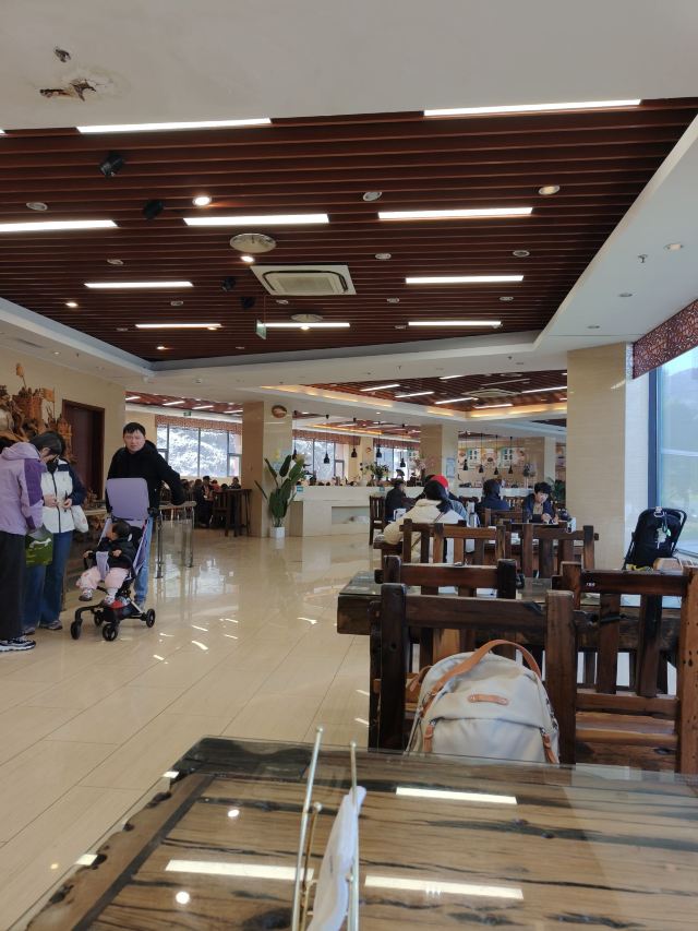 茅山森林世界旅行图片 1