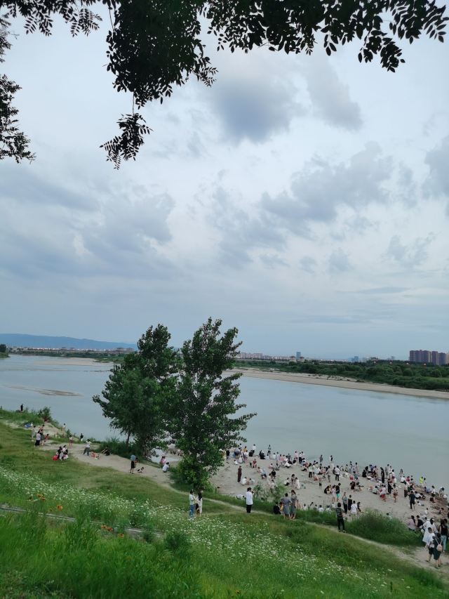 灞渭生态滩区旅行图片 4
