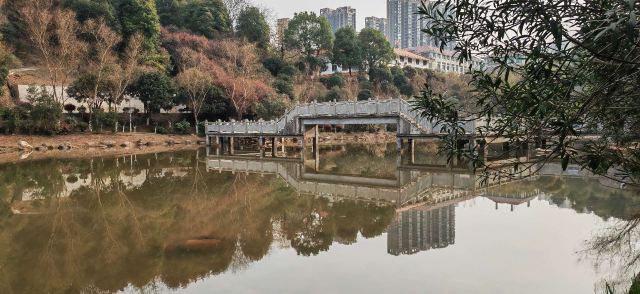 五岭公园旅行图片 5