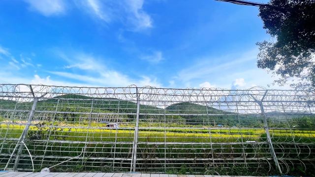 极边第一村龙利景区旅行图片 5