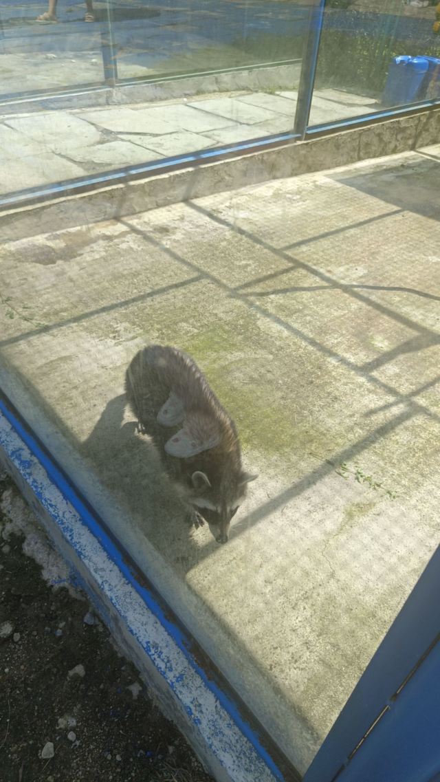 鸡西动植物园旅行图片 8