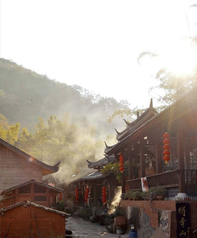 普洱古镇荷园旅行图片 1